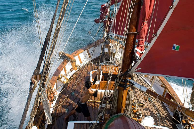 Making way on board S/V Vega photo copyright Shane Granger taken at 