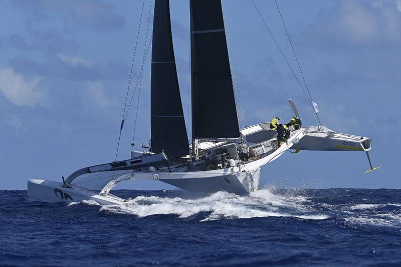 Jason Carroll's MOD70 Argo will face Erik Maris' sistership Zoulou in next week's RORC Caribbean 600 photo copyright RORC / Tim Wright taken at Royal Ocean Racing Club and featuring the MOD70 class