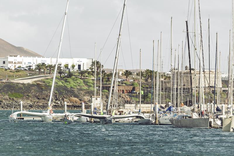 Marina Lanzarote hosts the RORC Transatlantic Race boats photo copyright James Mitchell / RORC taken at Royal Ocean Racing Club and featuring the MOD70 class