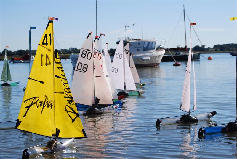 Waldringfield Bottle Boat Championship - photo © Roger Stollery
