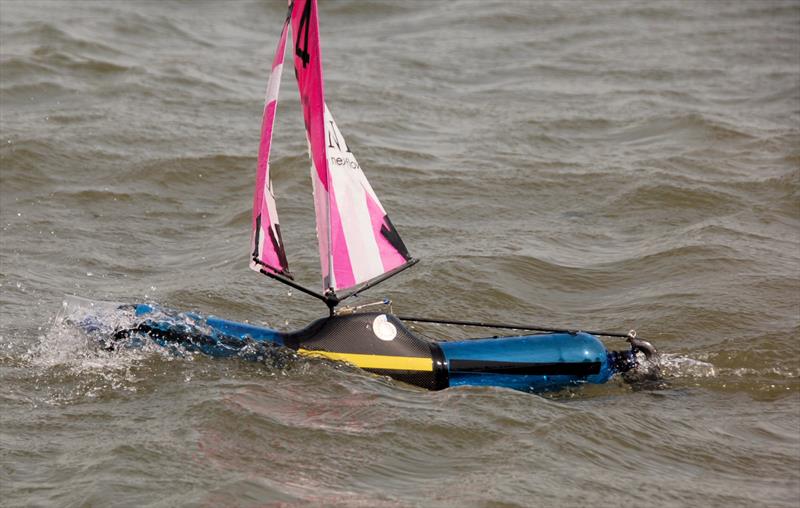 Waldringfield Bottle Boat Championship photo copyright Roger Stollery taken at Waldringfield Sailing Club and featuring the Model Yachting class