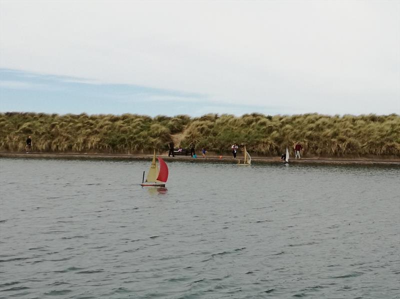 Marblehead Vane Boats at Fleetwood photo copyright David Foster taken at Fleetwood Model Yacht Club and featuring the Model Yachting class