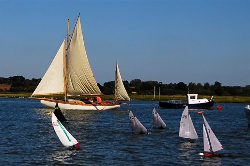 Racing with an Albert Strange yacht in the background during the 2018 Bottle Boat Championship at Waldringfield photo copyright Roger Stollery taken at Waldringfield Sailing Club and featuring the Model Yachting class