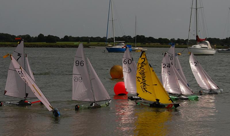 The fleet is tightly bunched at the windward mark during the 2019 Bottle Boat Championship at Waldringfield photo copyright Roger Stollery taken at Waldringfield Sailing Club and featuring the Model Yachting class