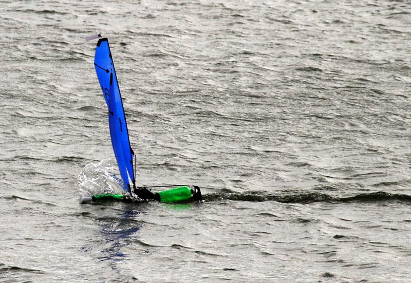 Peter Shepherd 181 going flat out in a gust during the 2019 Bottle Boat Championship at Waldringfield photo copyright Roger Stollery taken at Waldringfield Sailing Club and featuring the Model Yachting class