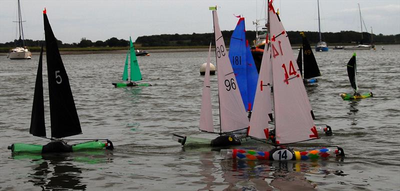 Close racing with Peter Jackson 5 leading during the 2019 Bottle Boat Championship at Waldringfield photo copyright Roger Stollery taken at Waldringfield Sailing Club and featuring the Model Yachting class