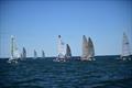 Mosquito Catamaran Victorian State Titles 2022 © Craig Sheperd