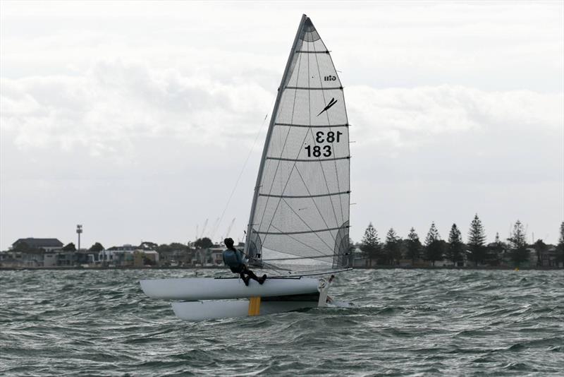 2026 Victorian Mosquito Cat Rigged State Titles photo copyright Craig Shepherd taken at Altona Yacht Club and featuring the Mosquito class