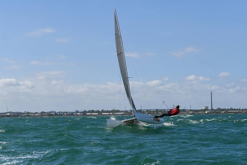 2026 Victorian Mosquito Cat Rigged State Titles photo copyright Craig Shepherd taken at Altona Yacht Club and featuring the Mosquito class