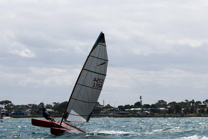 2026 Victorian Mosquito Cat Rigged State Titles - photo © Craig Shepherd