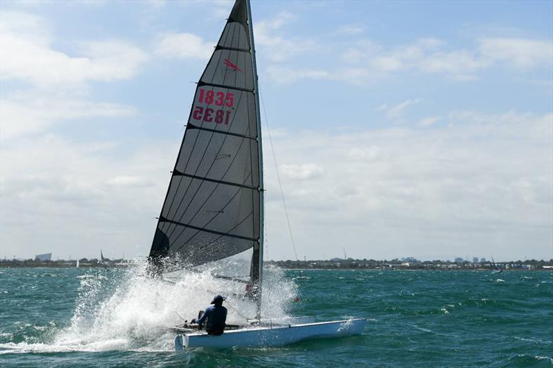 2026 Victorian Mosquito Cat Rigged State Titles - photo © Craig Shepherd