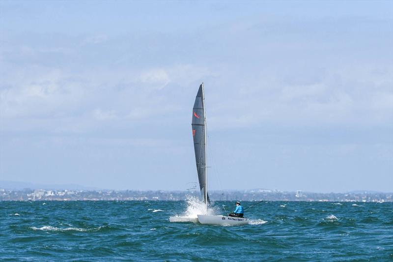2026 Victorian Mosquito Cat Rigged State Titles photo copyright Craig Shepherd taken at Altona Yacht Club and featuring the Mosquito class