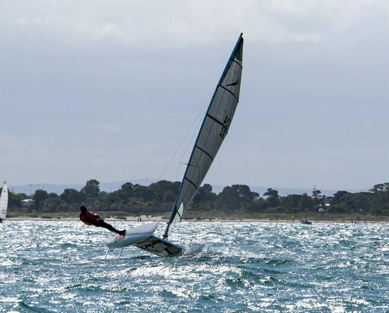 2026 Victorian Mosquito Cat Rigged State Titles photo copyright Craig Shepherd taken at Altona Yacht Club and featuring the Mosquito class