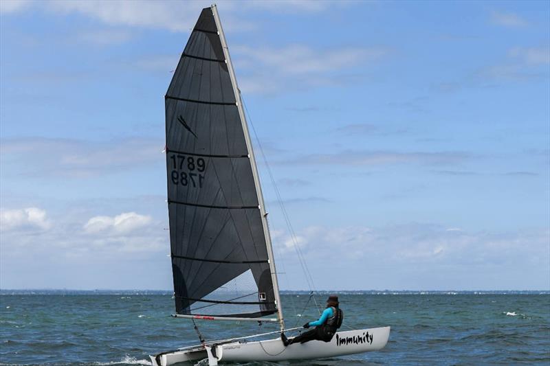 2026 Victorian Mosquito Cat Rigged State Titles photo copyright Craig Shepherd taken at Altona Yacht Club and featuring the Mosquito class