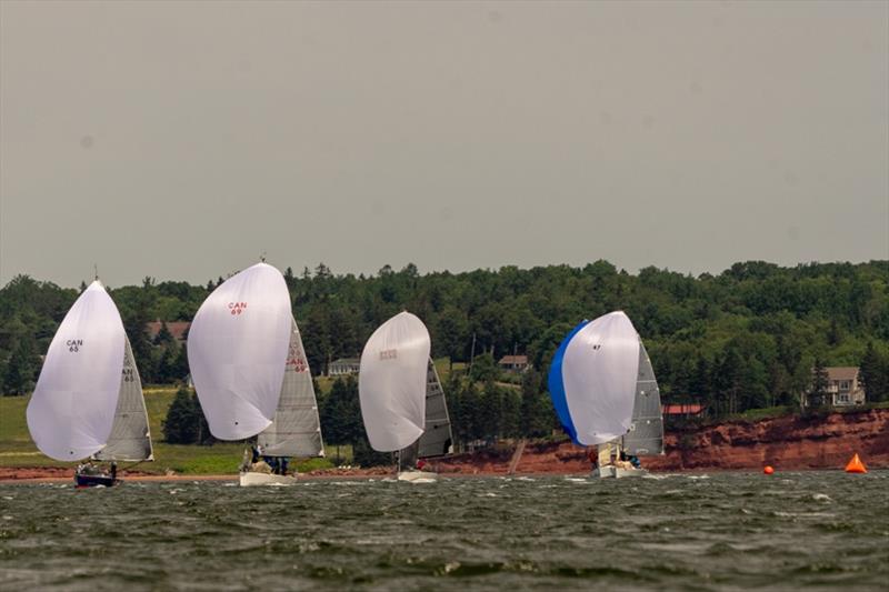 Farr 30's race against the backdrop of PEI's famous red soil cliffs - photo © Lorne Kelly