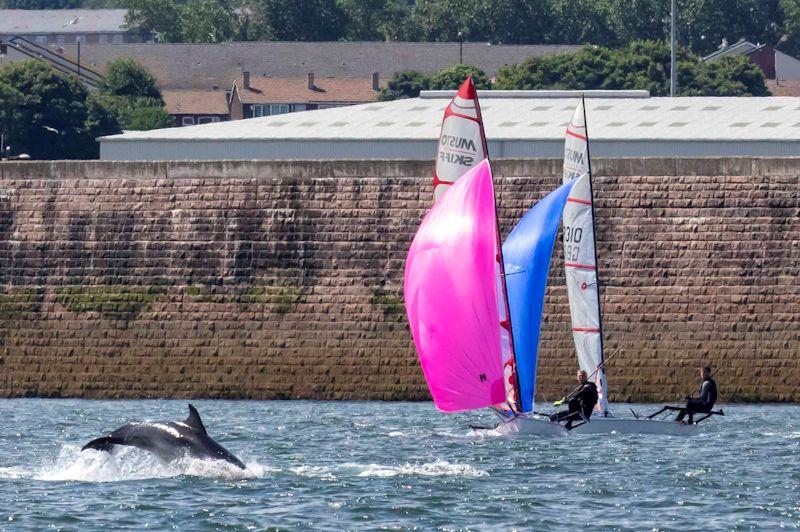 Dolphins on day 1 of the Noble Marine UK Musto Skiff National Championships at Sunderland photo copyright Tim Olin / www.olinphoto.co.uk taken at Sunderland Yacht Club and featuring the Musto Skiff class