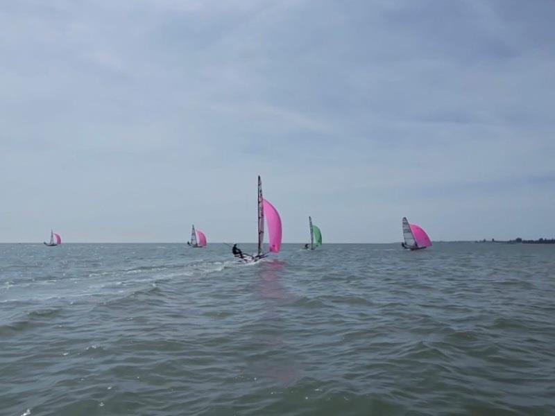 Musto Skiffs Training - Saturday - Fleet going downwind - photo © Rebecca Bines