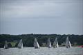 National 12 Craftinsure National Series at Royal Harwich Yacht Club © Kathryn Deaton