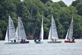 National 12 Craftinsure National Series at Royal Harwich Yacht Club © Kathryn Deaton