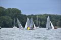 National 12 Craftinsure National Series at Royal Harwich Yacht Club © Kathryn Deaton