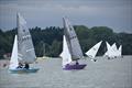 National 12 Craftinsure National Series at Royal Harwich Yacht Club © Kathryn Deaton