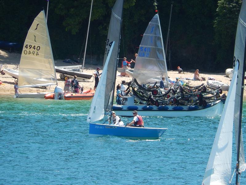 Salcombe Yacht Club Summer Series Race 5 photo copyright Margaret Mackley taken at Salcombe Yacht Club and featuring the National 12 class