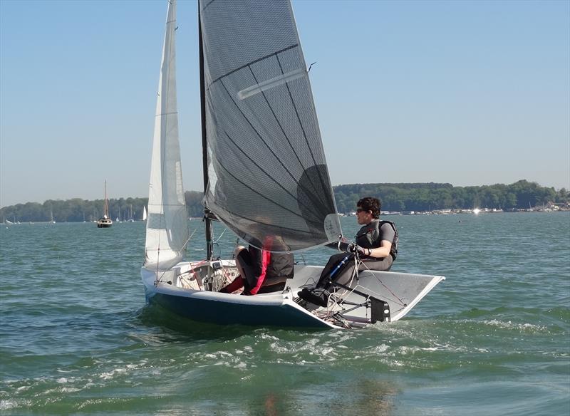 Royal Harwich Open Spring Series 2018 photo copyright Hazel Mayhew taken at Royal Harwich Yacht Club and featuring the National 12 class