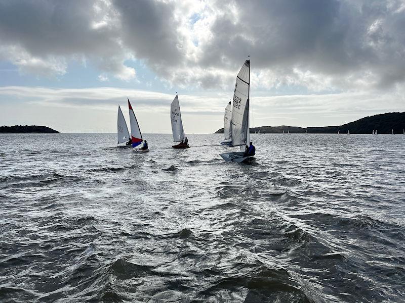 Solway Yacht Club Autumn Open - Some of the second fleet heading South after the start of race 4 photo copyright Margaret Purkis taken at Solway Yacht Club and featuring the National 12 class