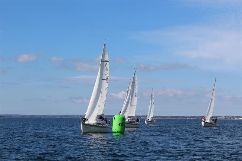 Gill Noelex Australian Championship day 1 photo copyright Mike Williams taken at Royal Geelong Yacht Club and featuring the Noelex class