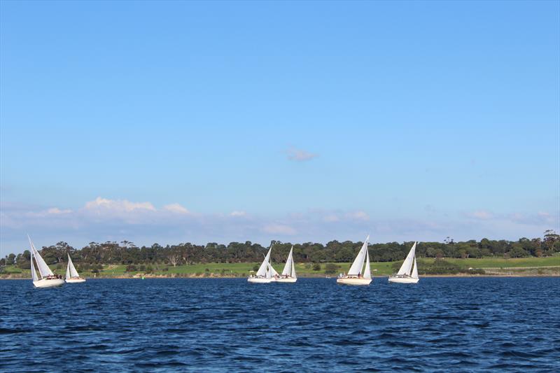 Gill Noelex Australian Championship day 1 photo copyright Mike Williams taken at Royal Geelong Yacht Club and featuring the Noelex class