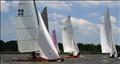 Norfolk Punts at Hickling Broad © Tim Clancy