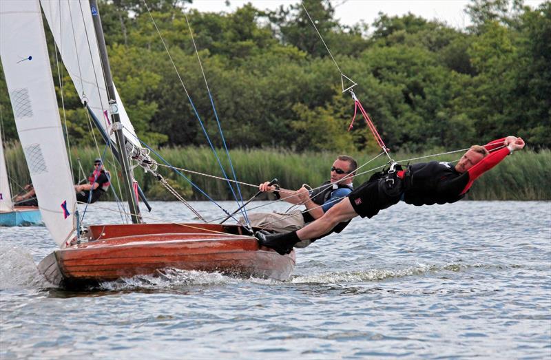 Norfolk Punt Open on Barton Broad photo copyright Robin Myerscough taken at Norfolk Punt Club and featuring the Norfolk Punt class