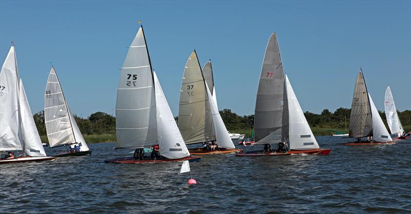 Norfolk Punt Championships at Barton Broad - photo © Robin Myerscough