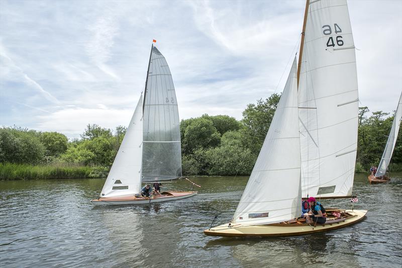 Punts during the Three Rivers Race 2019 photo copyright Jane Bowden taken at Horning Sailing Club and featuring the Norfolk Punt class