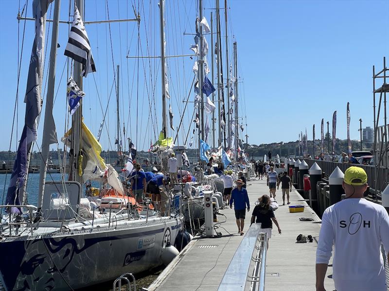 The pontoons of Jellicoe Harbour buzzed with anticipation, nerves and excitement on the #OGR2023 start day photo copyright DD / OGR2023 taken at  and featuring the Ocean Globe Race class