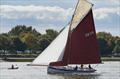 Maldon Town Regatta 2017 © Sandy Miller