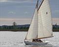 Maldon Town Regatta 2017 © Sandy Miller