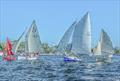 Noosa Yacht and Rowing Club Gaff Rig Regatta 2024 © Jules's photography
