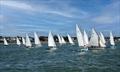 The highly competitive Mersea Fishermen's Open Boat class - Mersea Week &copy; Chrissie Westgate