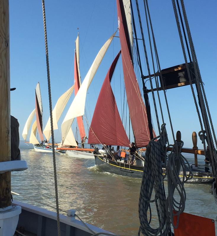 OGA East Coast Race 2015 as seen by Transcur photo copyright Sarah Adie taken at Brightlingsea Sailing Club and featuring the Gaffers class