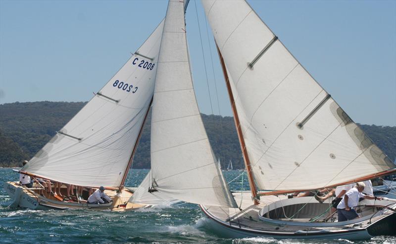 The Wattle Cup on Pittwater - photo © Tracy Wyban