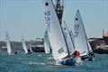 Gold Coast Fleet competing at the 2017 55th International OK Dinghy National Championships, Drummoyne, NSW © DSC