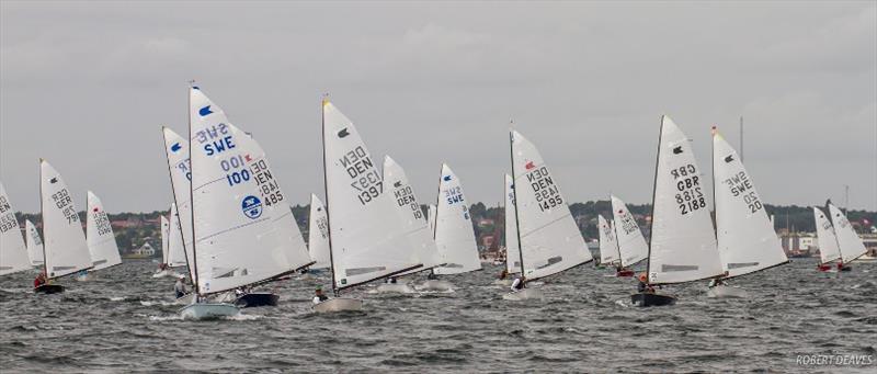 OK Dinghy fleet - photo © Robert Deaves