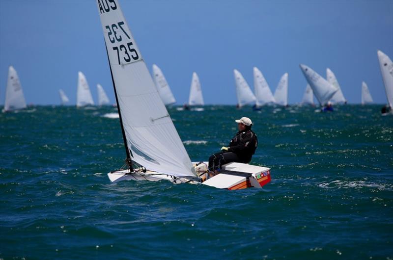 Mark Jackson on Port Phillip - Australian OK Dinghy Nationals - photo © Alex McKinnon Photography