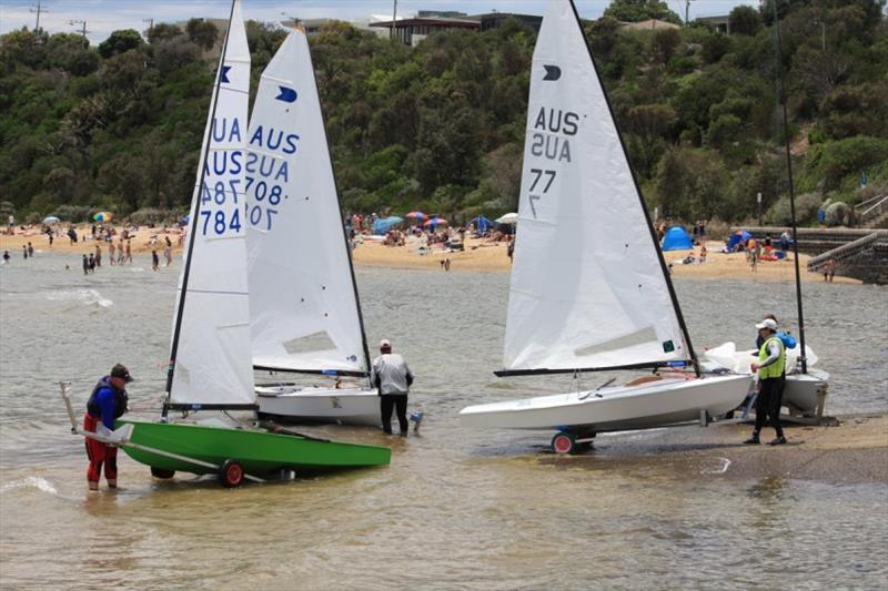 OK Dinghy fleet launching for Invitation Race at Black Rock YC - 57th Australian OK Dinghy Nationals photo copyright Lara Blasse taken at  and featuring the OK class