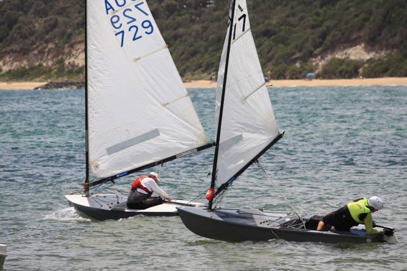 OK Dinghy fleet launching for Invitation Race at Black Rock YC - 57th Australian OK Dinghy Nationals photo copyright Lara Blasse taken at  and featuring the OK class
