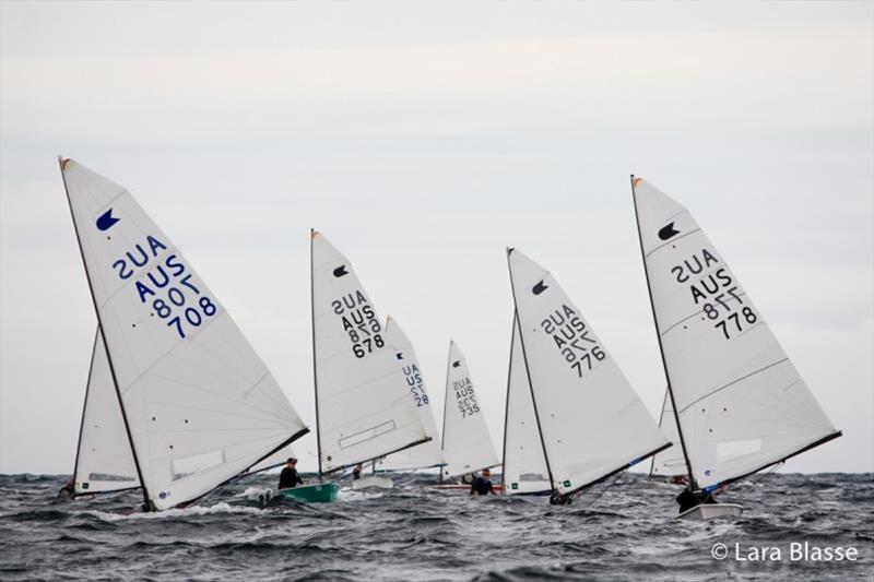 Kelvin Holdt (AUS 708) leads a group downwind - Australian OK Dinghy Nationals, Day 1 photo copyright Lara Blasse taken at  and featuring the OK class