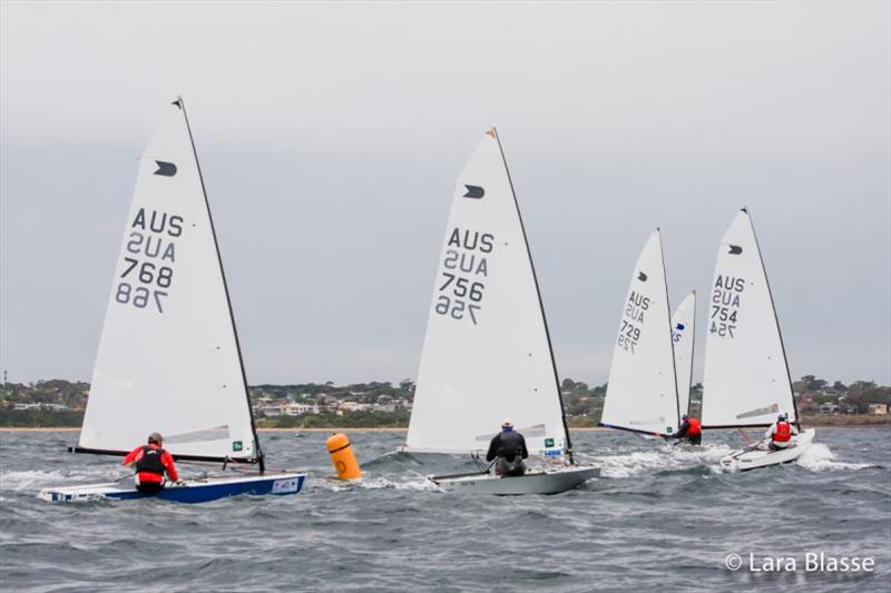 Great conditions off Black Rock - Australian OK Dinghy Nationals, Day 1 photo copyright Lara Blasse taken at  and featuring the OK class