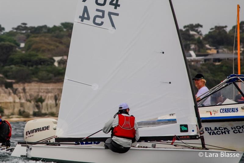 Brent Williams - Australian OK Dinghy Nationals, Day 2 - photo © Lara Blasse