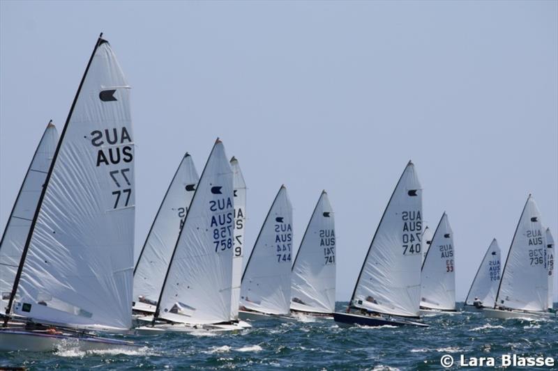 Australian OK Dinghy Nationals - Day 3 photo copyright Lara Blasse taken at  and featuring the OK class